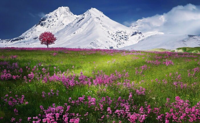 Alpes tour | Gentle provence