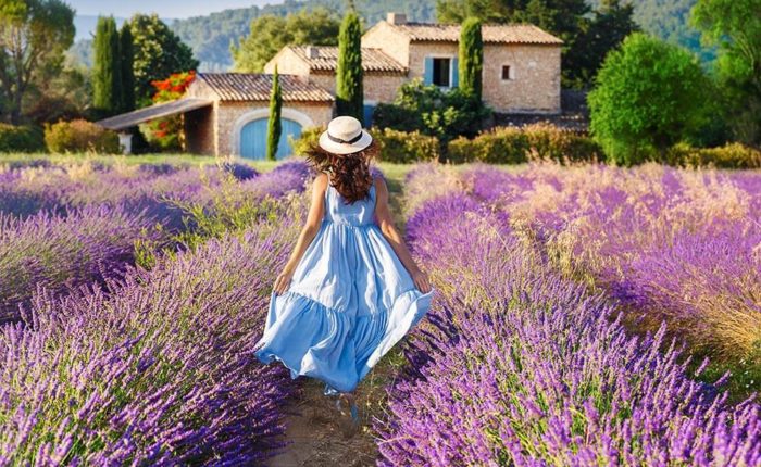 Greoux Lavenders field with woman | Gentle provence