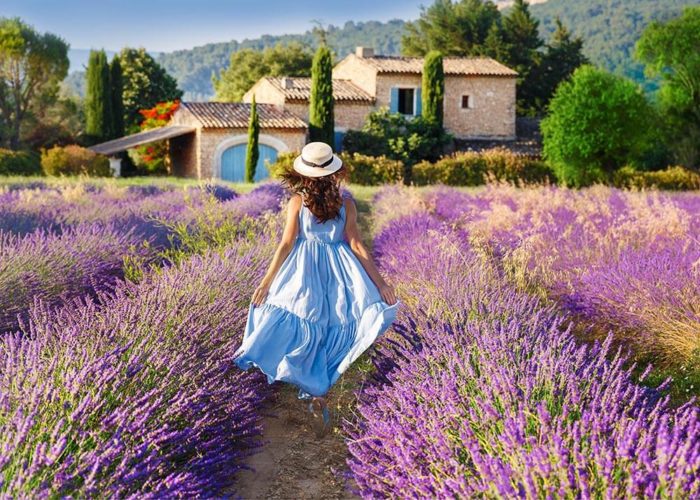 Greoux Lavenders field with woman | Gentle provence