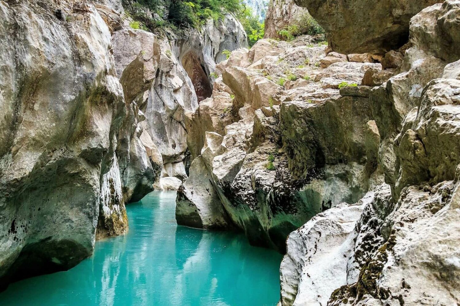 greoux-wellness-lavender-tour-provence