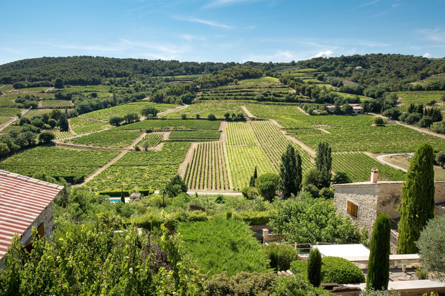 provence wine vineyard | Gentle provence