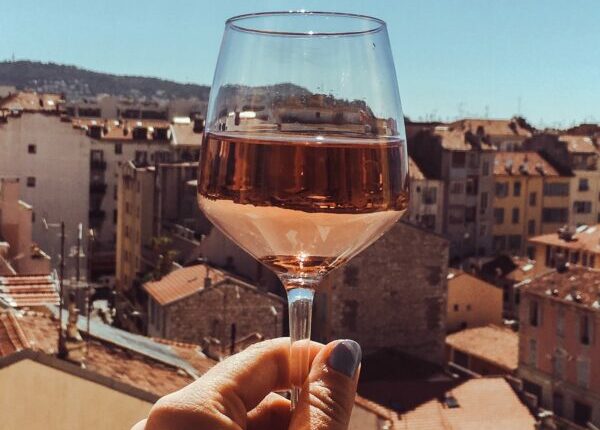 Rose all day wine tour in Provence