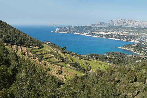 view of Provence with vineyards, sea, and villages