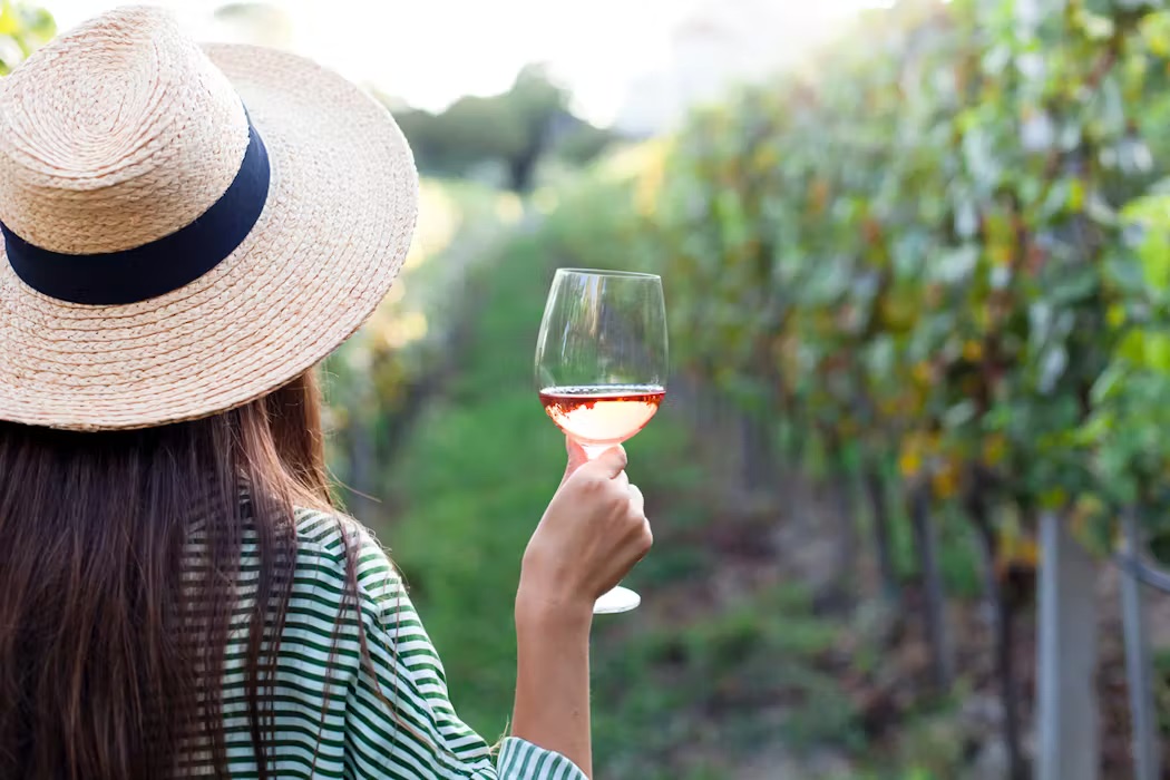 Rosé glass in vineyard with Provence landscape