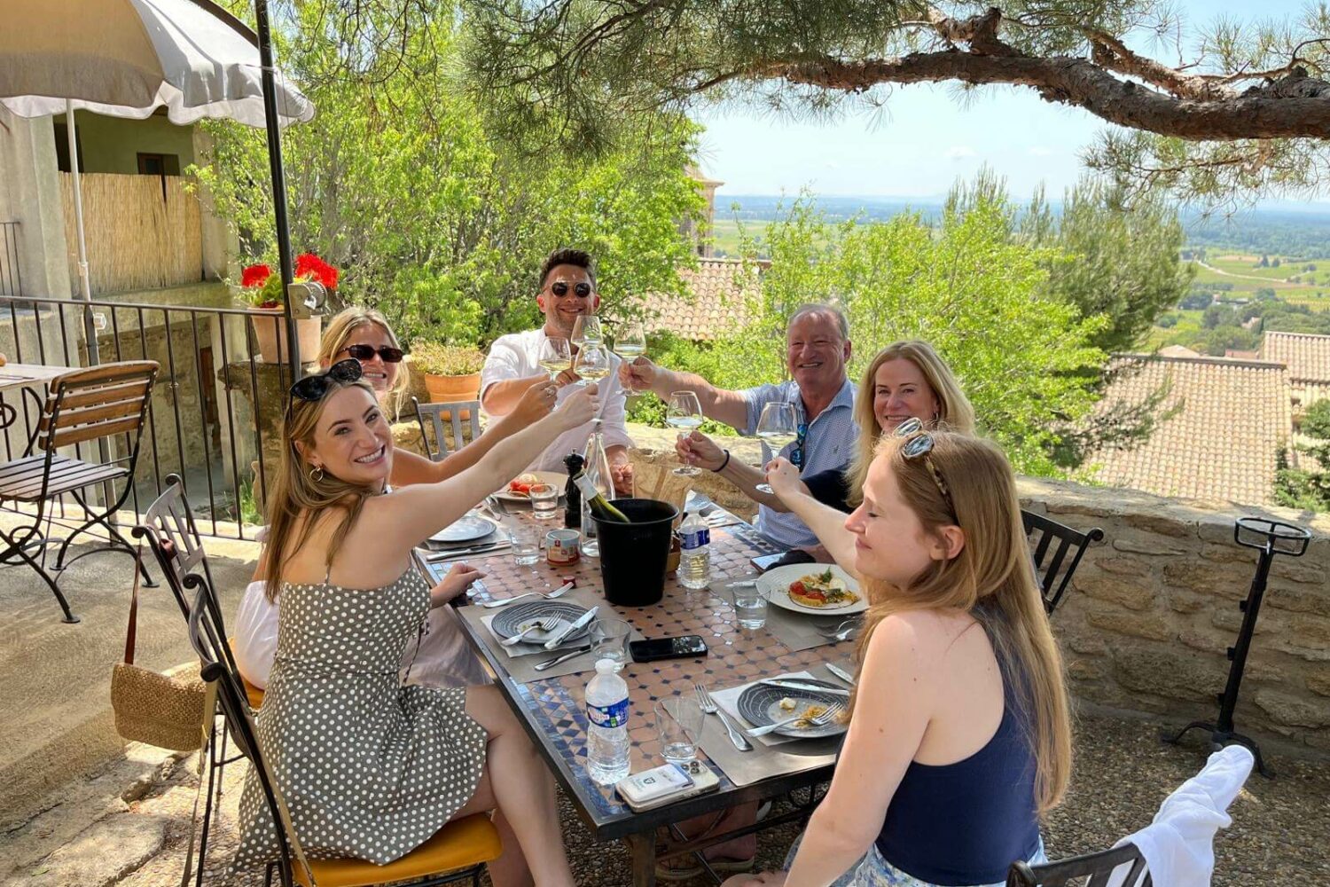 Group of friends toasting with rosé in Provence vineyard