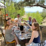 Group of friends toasting with rosé in Provence vineyard