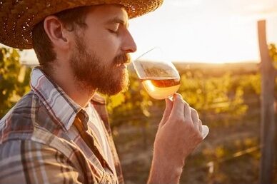 Guests enjoying Provence rosé wine tour experience