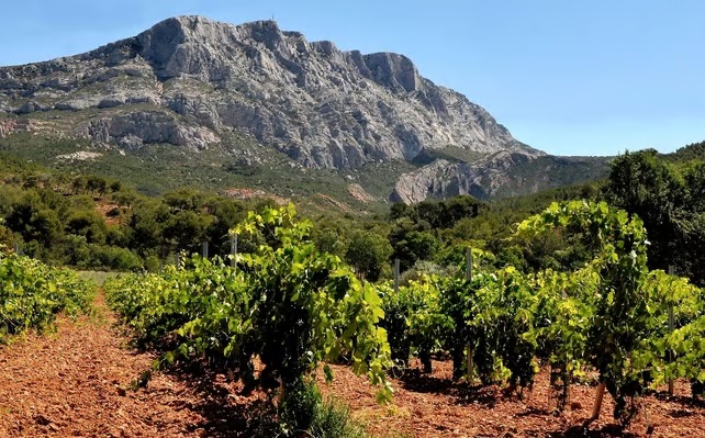 Diverse terroir of Provence: key to rosé complexity