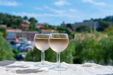 Unique Provence vineyard visit during rosé wine tour